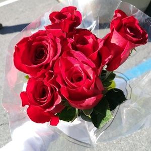 Meet your Posher, Marie